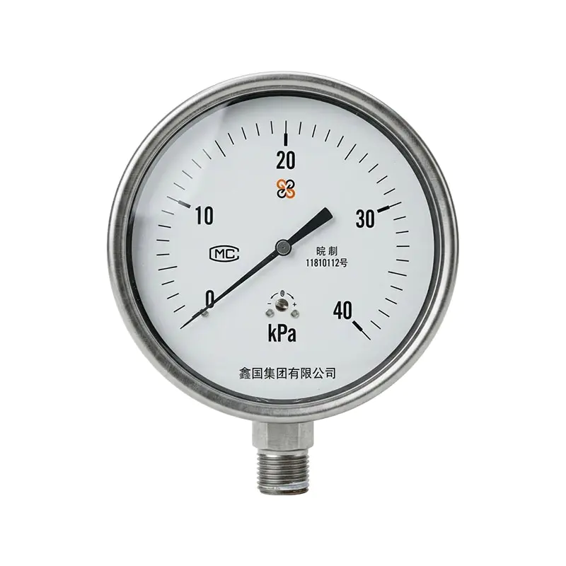 XG/YE-100B Edelstahl-Membrankasten-Manometer